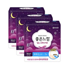 생리대팬티