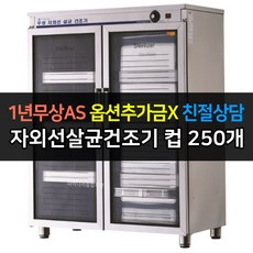 ws-us250열풍