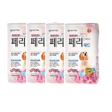 청평페리