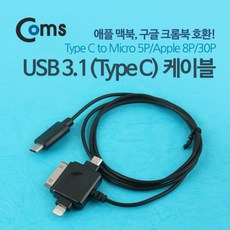 애플30핀