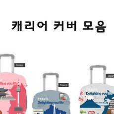 헤이즈캐리어커버