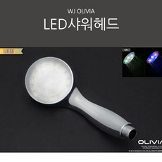 올리비아비치가방