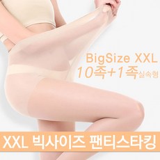 팬티스타킹10족