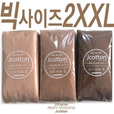 팬티스타킹10족