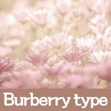 석고방향제향료