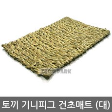 코아코아뒹굴러베이직