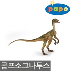 파포 콤프소그나투스 피규어 55072, 1개