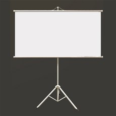 빔스크린40인치