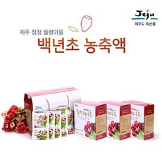 제주헬스장일일권