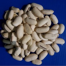 작두콩알