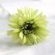 e9e3bfe9-a353-4501-ba7c-0ecf00a39cd0.jpg