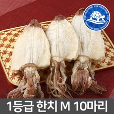 장수왕 [보냉팩] 1등급 반건 한치 M 300g 10마리 중부시장도매, 1봉