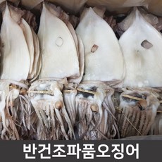 //상품명