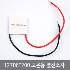 고온용열전소자