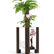 수지안화분