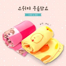 병아리담요