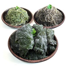 꼬시래기무침