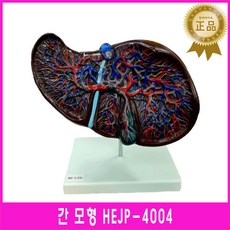 재료과학5판