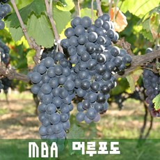 b342aa42-06c7-44c7-a1b5-cadb7c04d787.jpg