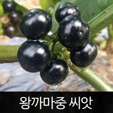 5008f9b6-760d-4c0a-b289-e4c97a7cb7ce.jpg
