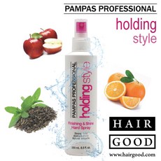 팜파스 프로페셔널 피니싱 앤 샤인 하드 스프레이 250ml, 1개