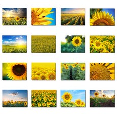 5dd37e2d-5605-4497-a42b-6061890ce484.jpg