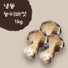 한우리 자연아름 냉동 능이버섯 1kg, 1봉
