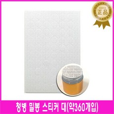 데이토나금통헐크