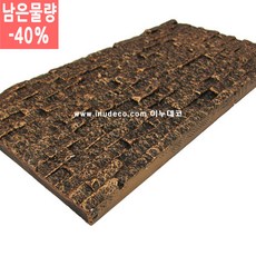 이누아