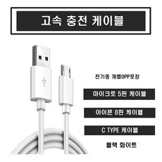베이비베이커리잉글리쉬맨