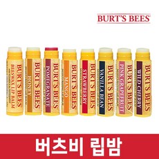 버츠비자몽
