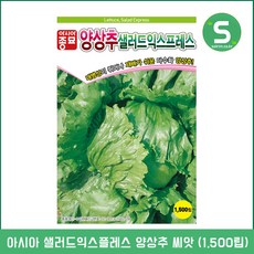 솔림텃밭몰 양상추씨앗 1500립 샐러드익스프레스 다수확 양상추씨