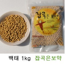 백태 노란콩 메주콩 2kg 1kg국산 강진산, 1개, 1kg