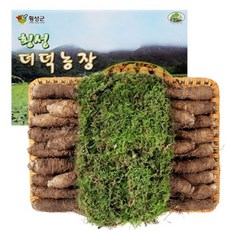 횡성더덕농장 농가직거래 횡성더덕 선물세트(특3호), 1개, 선물세트 특2.0kg