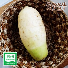 하늘농부 친환경 무 1개