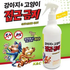 d80dc051-b160-4553-91e7-b7788cb96ac0.jpg