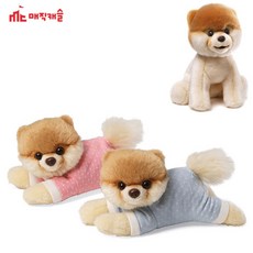 립프로그강아지