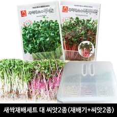 c60ca973-e813-4363-837a-51f8e281bcc5.jpg