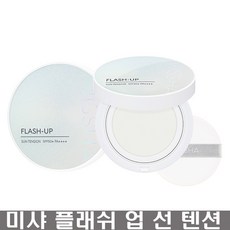 미샤플레쉬업