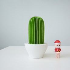 피오지오