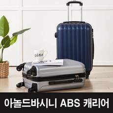 아놀드바시니캐리어