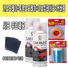 뉴카렌스카오디오