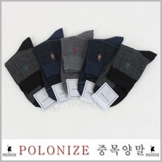 폴로나이즈
