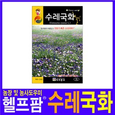 헬프팜 수레국화 2g 세계종묘 수레국화 씨앗 종자