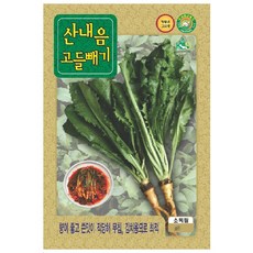 씨앗 고들빼기 산내음 고들빼기 5000립, 1개