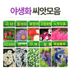 72b07335-fe67-4e8d-9cbd-ecd5bf86aa39.jpg
