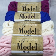 모델망고실