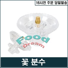 꽃분수