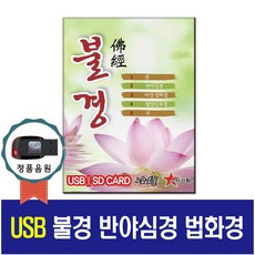 선문천지팔양신주경