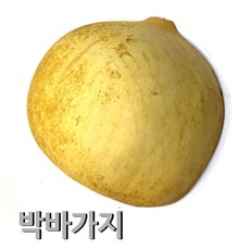 281b00e2-63f1-46fc-851a-df5dacd0fbb5.jpg